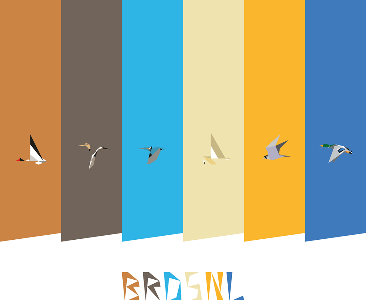 BRDSNL