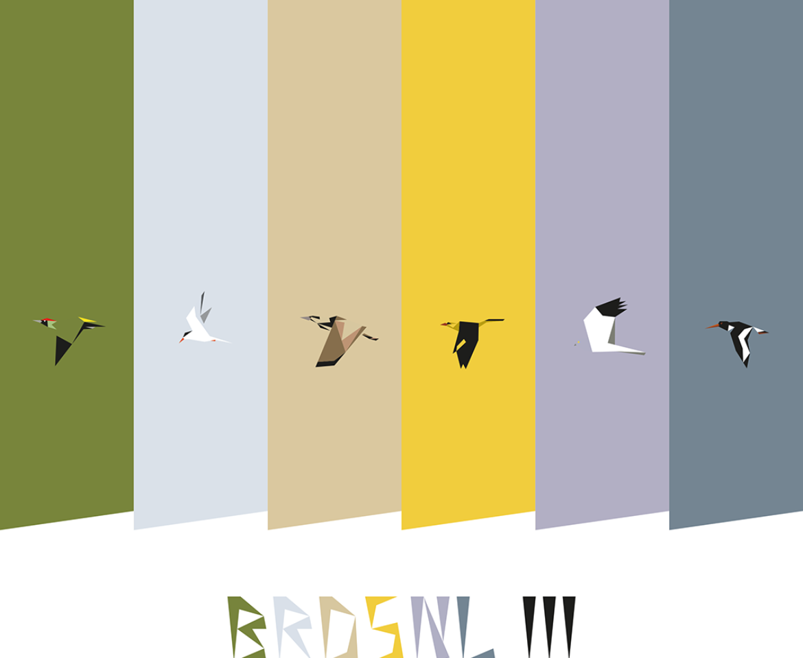 BRDSNL 3