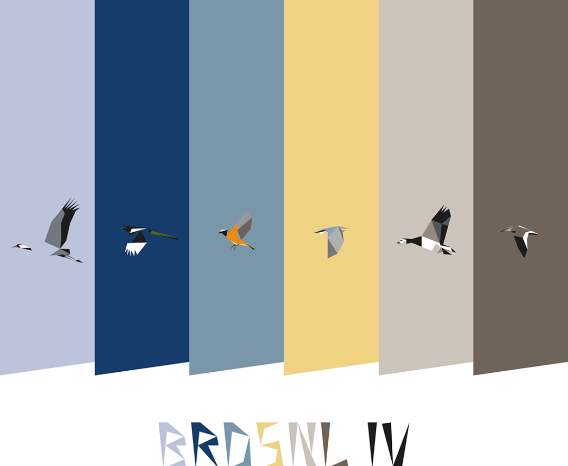 BRDSNL 4