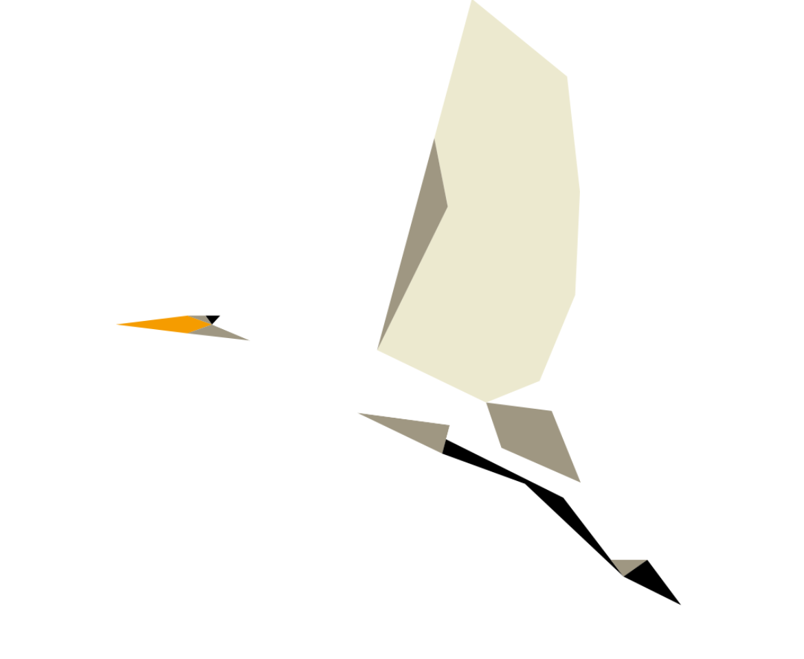 Ardea alba