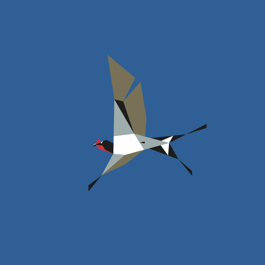 Hirundo rustica