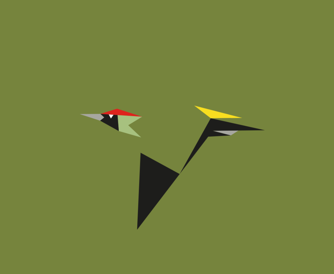Picus viridis
