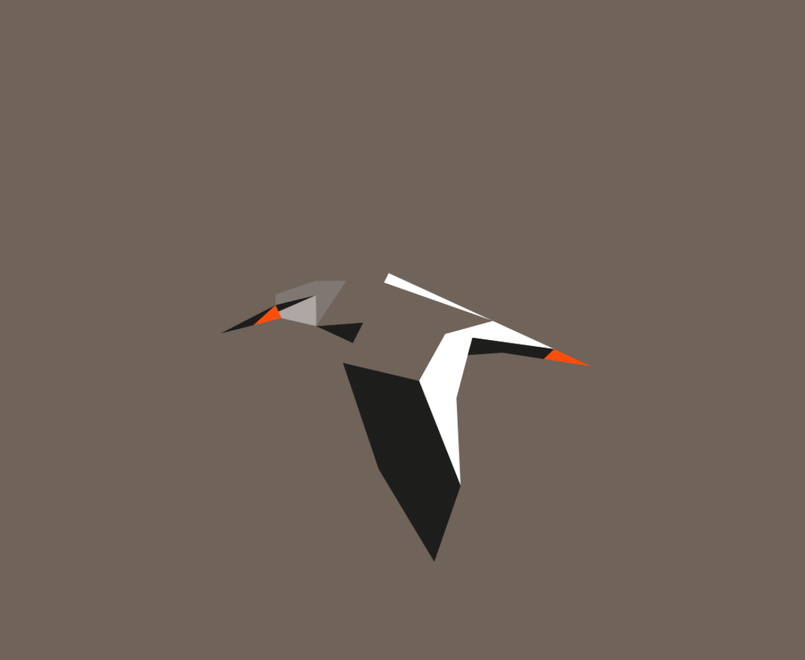 Tringa totanus