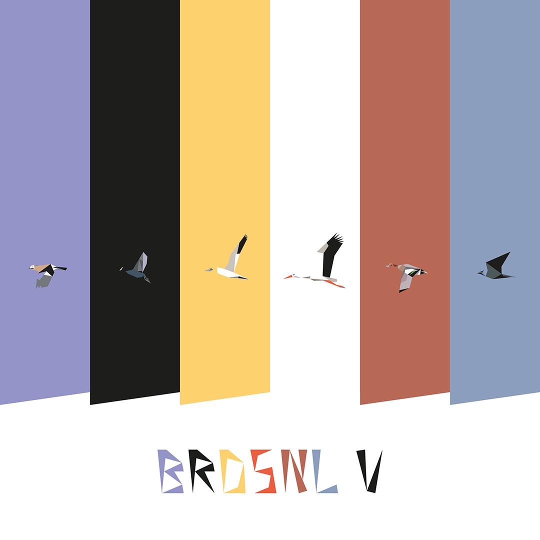 BRDSNL 5