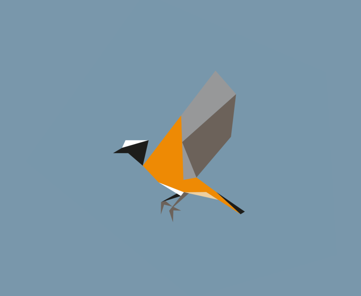 Phoenicurus phoenicurus