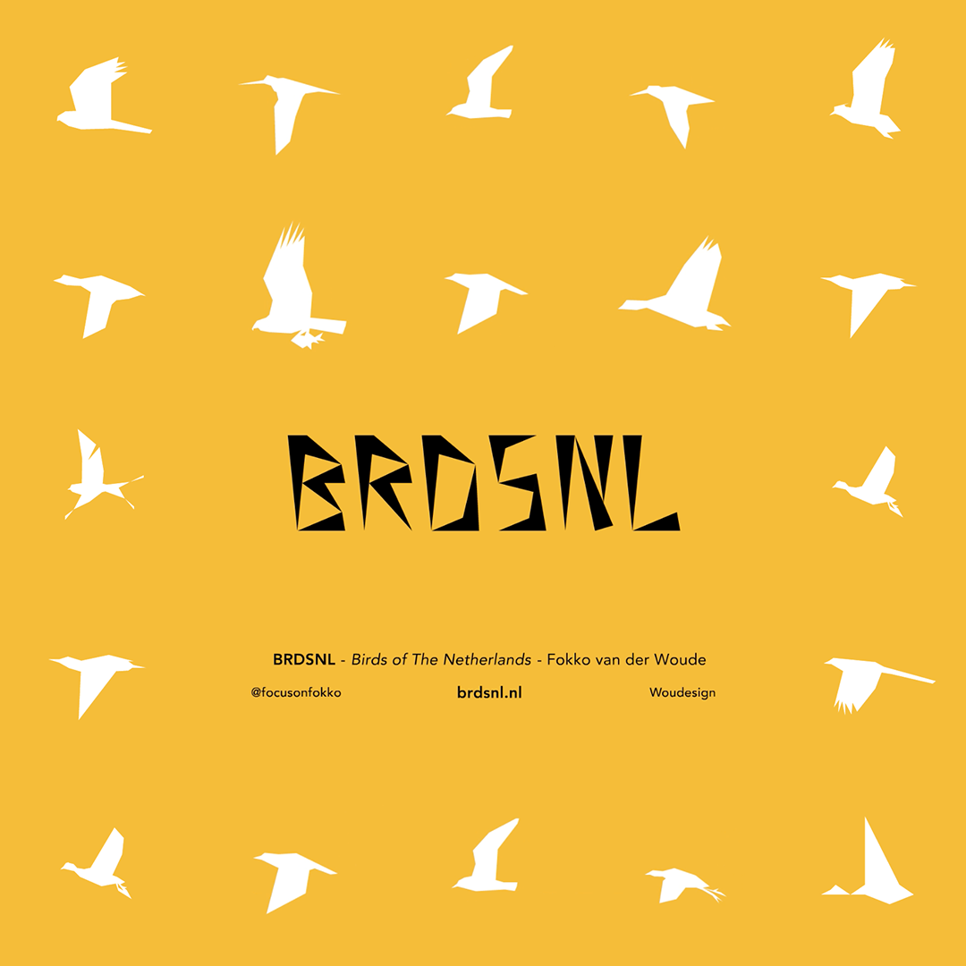 BRDSNL Website