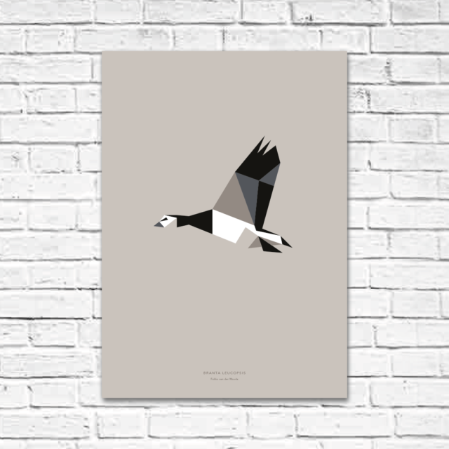 Branta leucopsis A2 poster