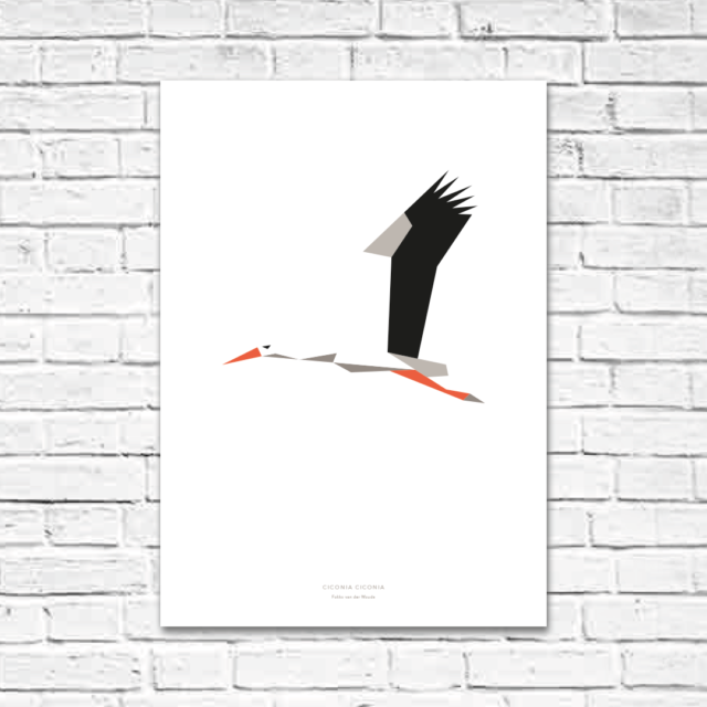 Ciconia ciconia A2 poster
