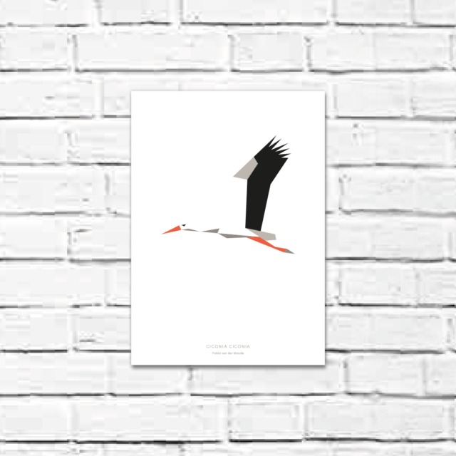 Ciconia ciconia A4 poster