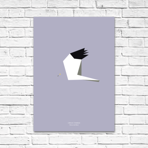 Circus cyaneus A2 poster