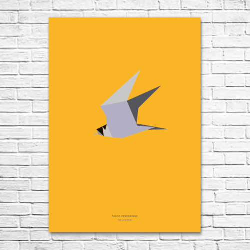 Falco peregrinus A1 poster