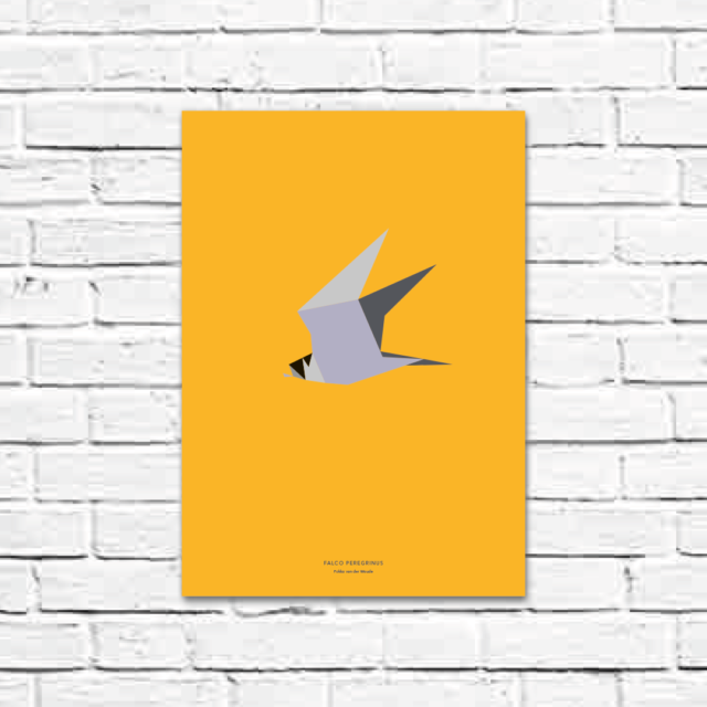 Falco peregrinus A3 poster