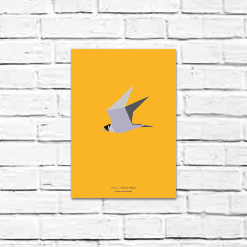 Falco peregrinus A4 poster