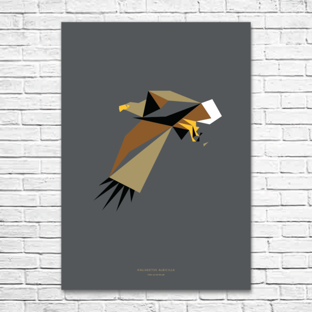 Haliaeetus albicilla A1 poster