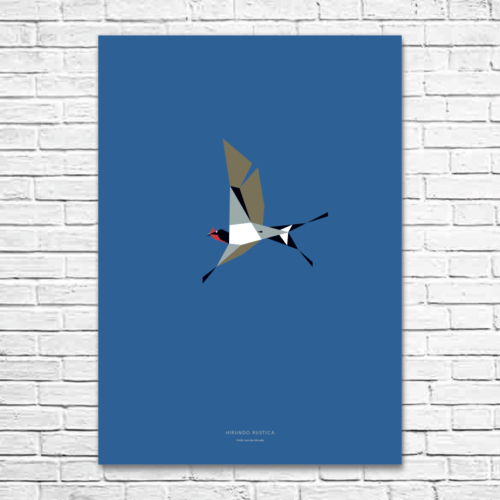 Hirundo rustica A1 poster