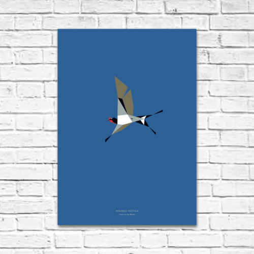 Hirundo rustica A2 poster