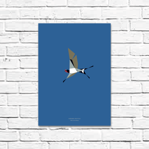 Hirundo rustica A3 poster