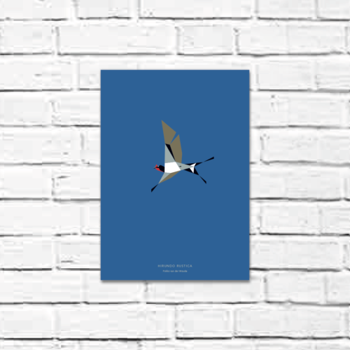 Hirundo rustica A4 poster