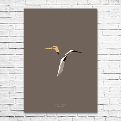 Limosa limosa A1 poster