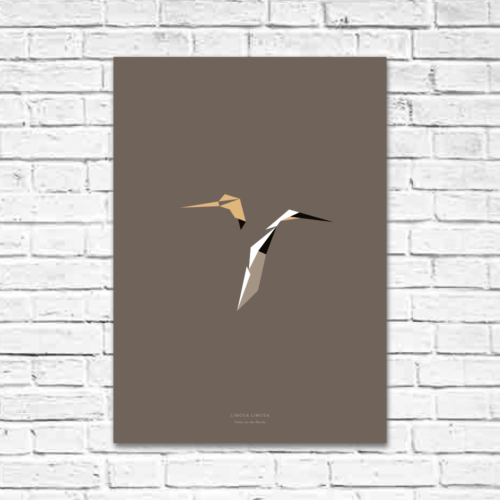 Limosa limosa A2 poster