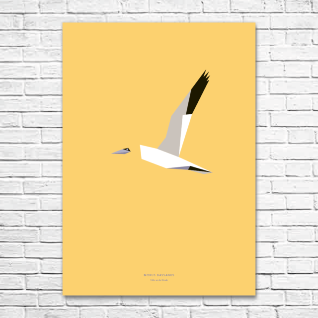 Morus bassanus A1 poster
