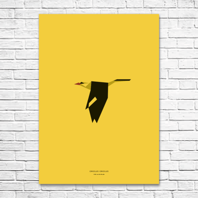 Oriolus oriolus A1 poster