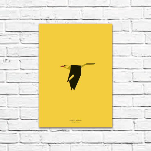 Oriolus oriolus A3 poster