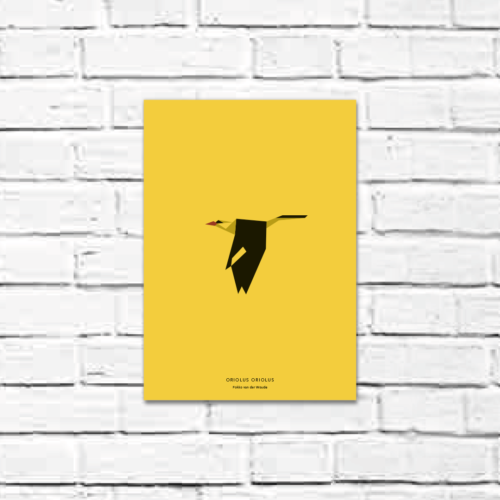 Oriolus oriolus A4 poster