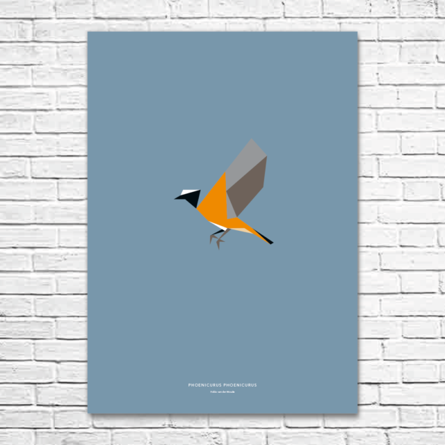 Phoenicurus phoenicurus A1 poster