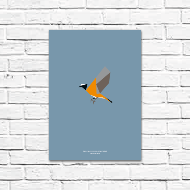 Phoenicurus phoenicurus A3 poster