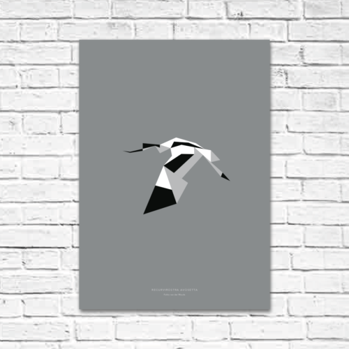 Recurvirostra avosetta A2 poster