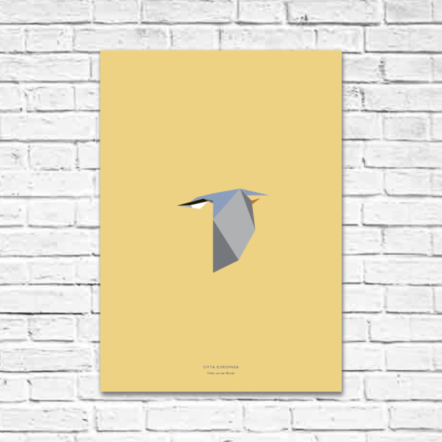 Sitta europaea A2 poster