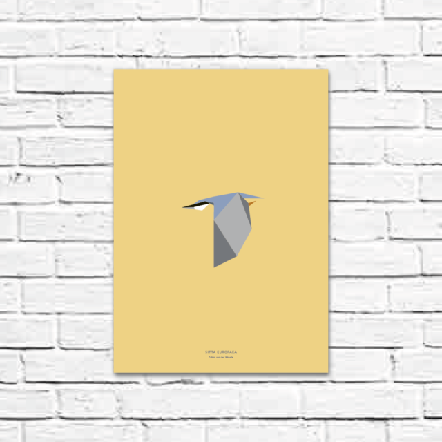 Sitta europaea A3 poster