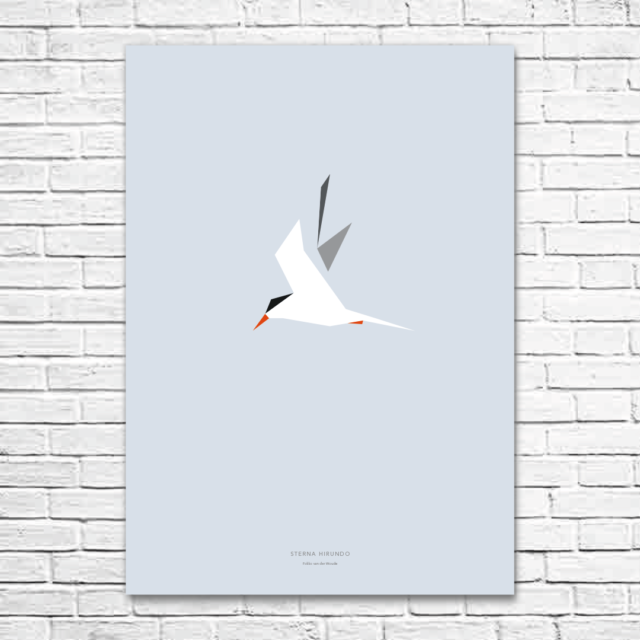 Sterna hirundo A1 poster
