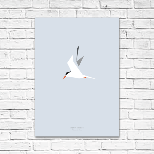 Sterna hirundo A2 poster