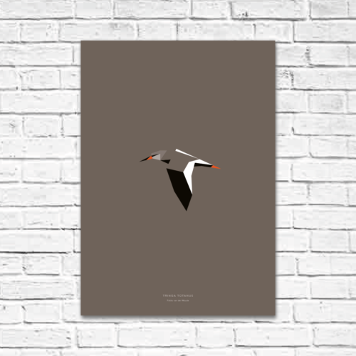 Tringa totanus A2 poster