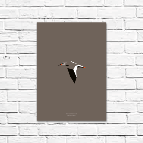 Tringa totanus A3 poster