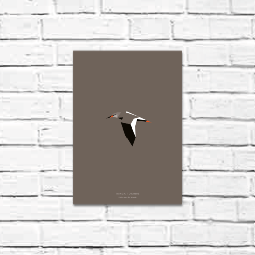 Tringa totanus A4 poster