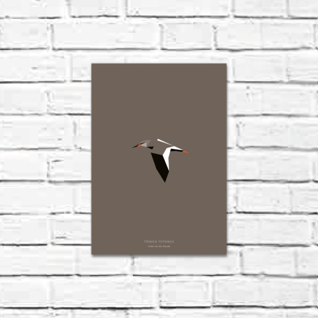 Tringa totanus A4 poster