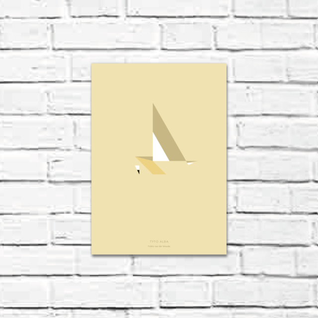 Tyto alba A4 poster
