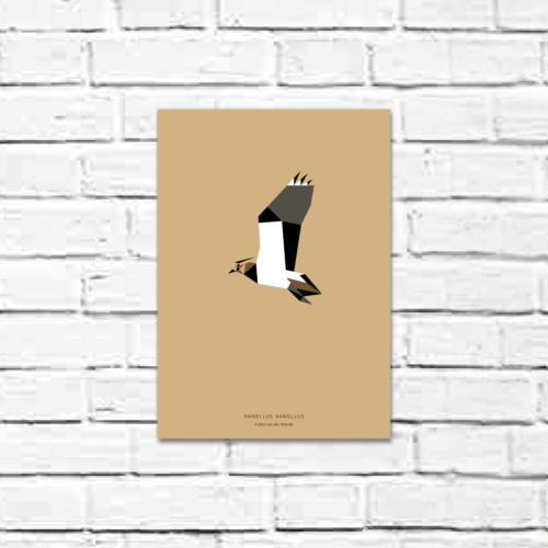 Vanellus vanellus A4 poster