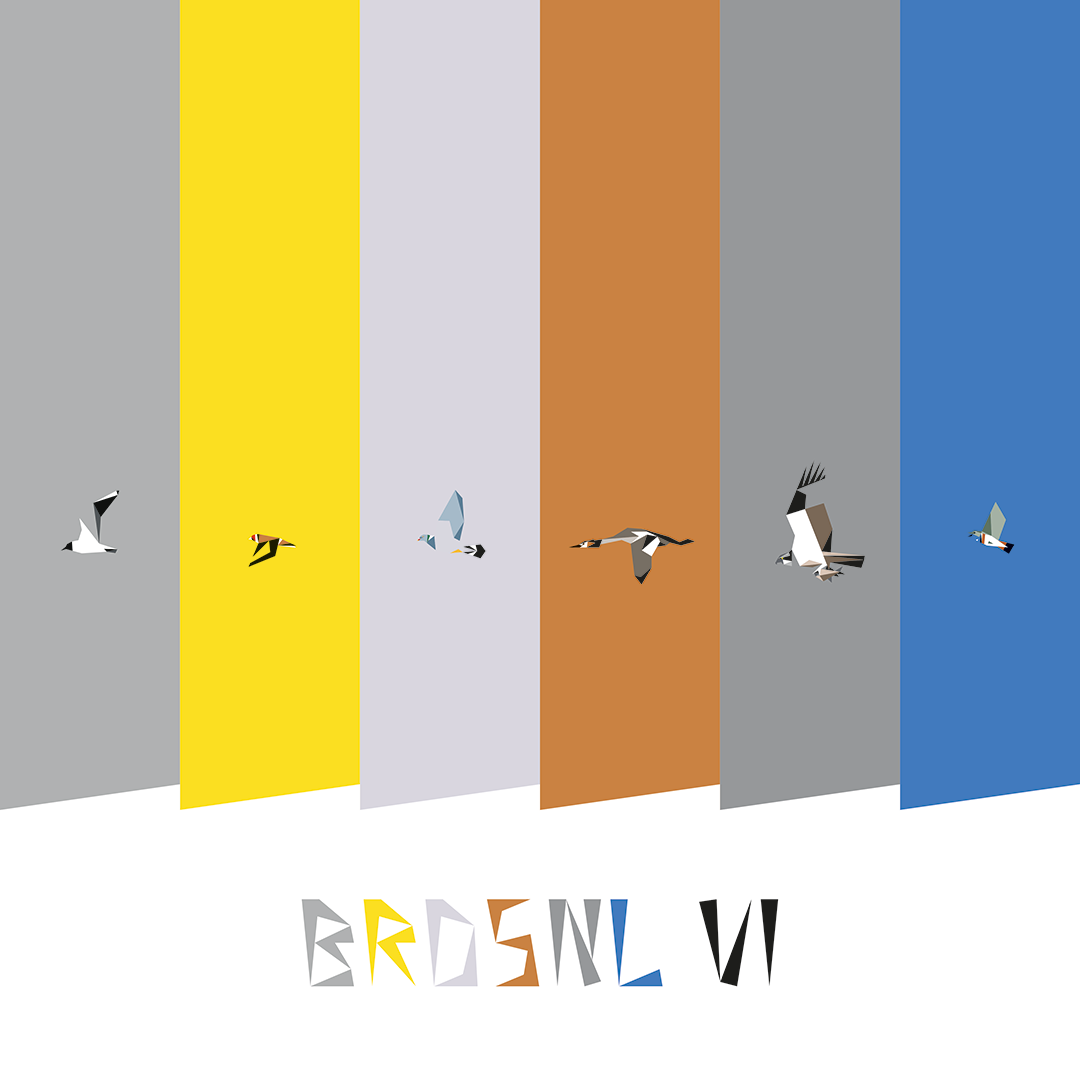 BRDSNL 6