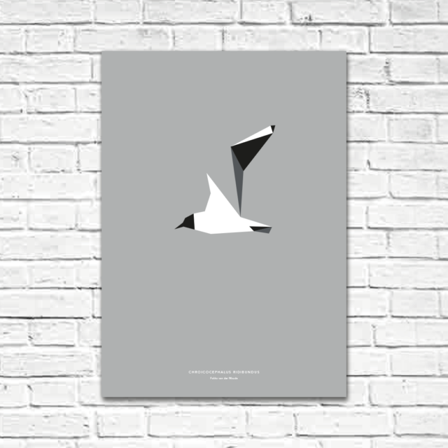 Chroicocephalus ridibundus A2 poster