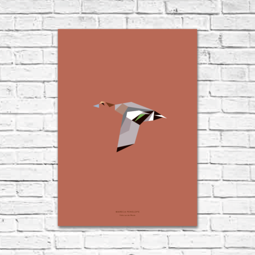 Mareca penelope A2 poster