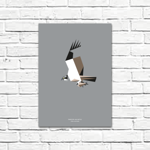 Pandion haliaetus A3 poster