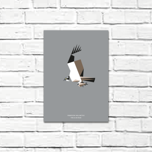 Pandion haliaetus A4 poster
