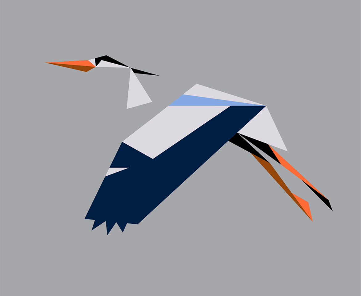 Ardea cinerea