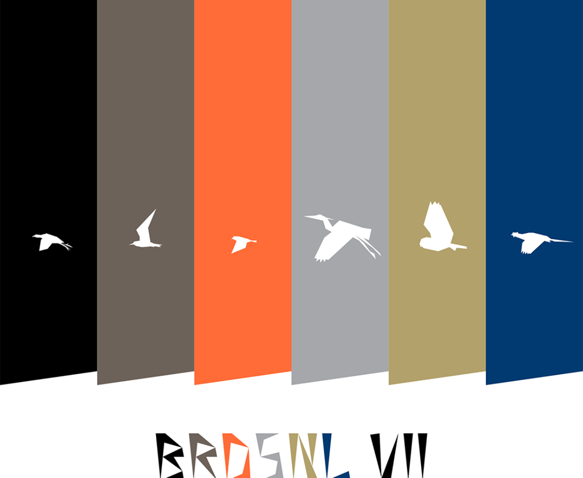 BRDSNL 7 preview