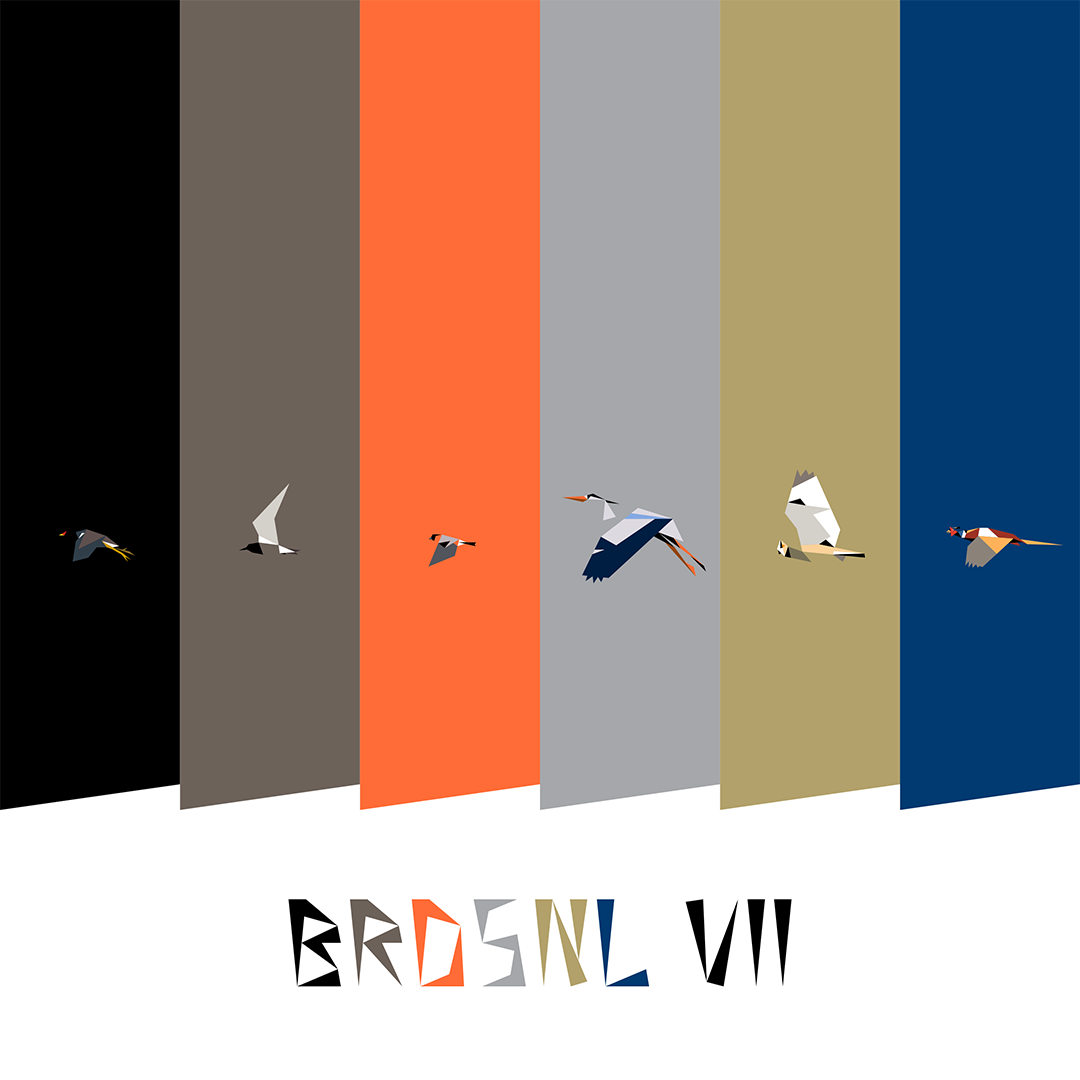 BRDSNL 7