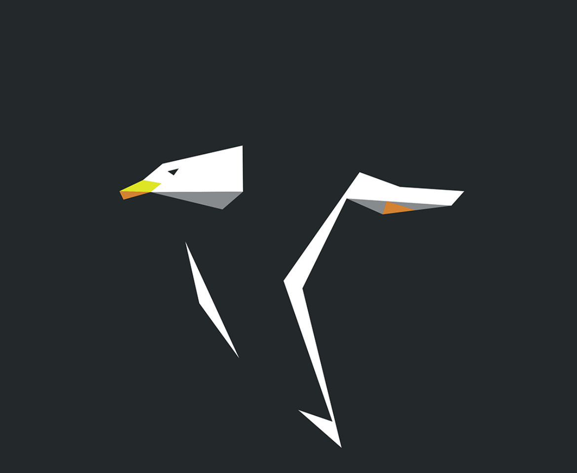 Larus marinus